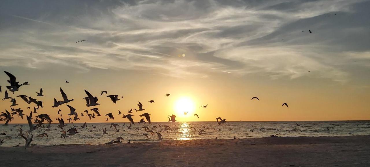 Сasa de vacaciones Pelican Pointe 2a Clearwater Beach